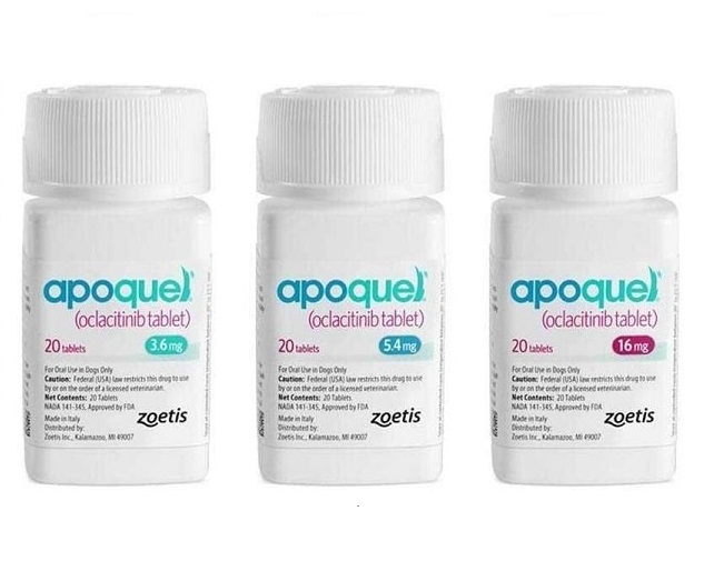 Apoquel Medicine apoquel medicine