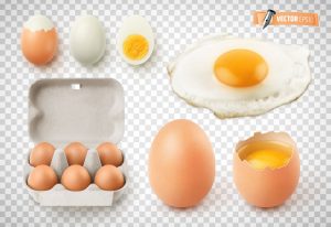 Eggs Eggs