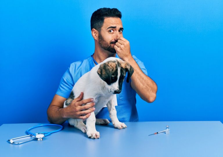 Apoquel for Dogs Allergic Skin in dogs, causes & treatment