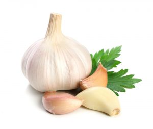 Garlic