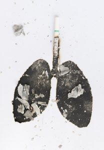 Harmful effects of Tobacco Use Harmful effects of Tobacco Use