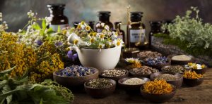 Herbal Medicines Herbal Medicines
