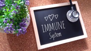 What is the Immune System?