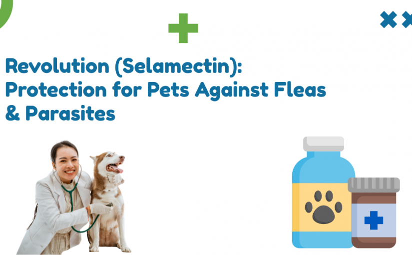Revolution (Selamectin): Protection for Pets Against Fleas & Parasites