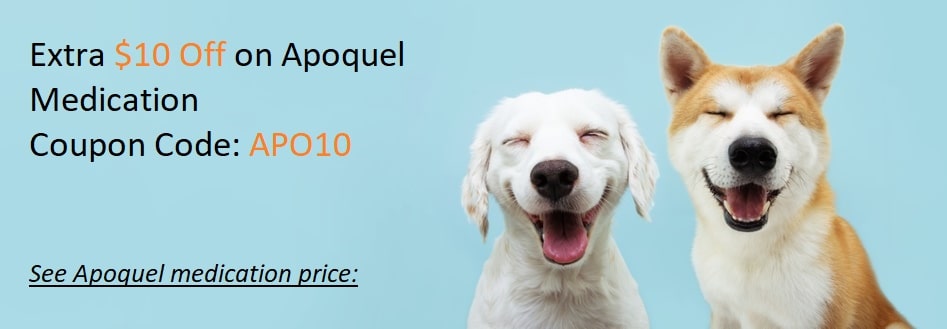 Apoquel Medication Apoquel Coupon